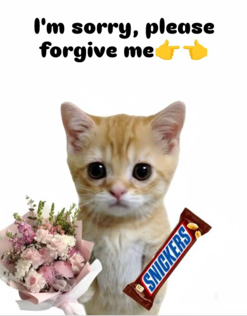 The Apology Edit