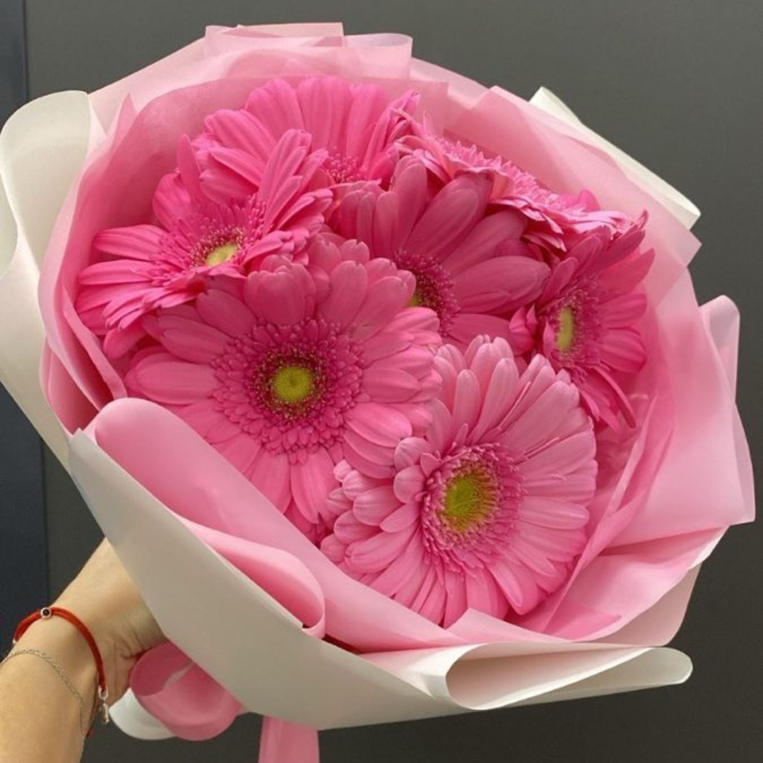Gerbera Daisies