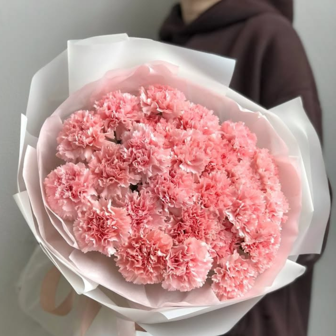 Carnations