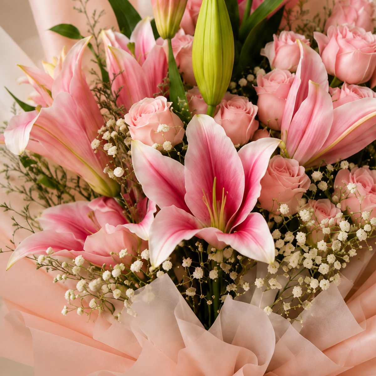 Lily rose Grandeur