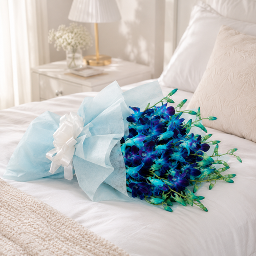 Blue Orchid Bliss