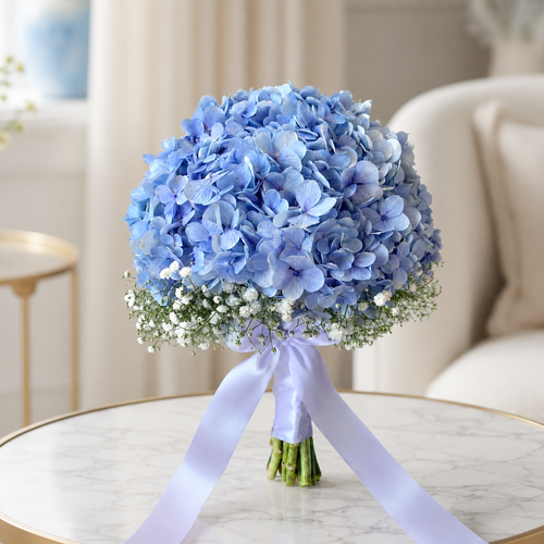 Hydrangea Bloom