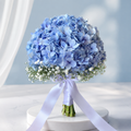 Hydrangea Bloom