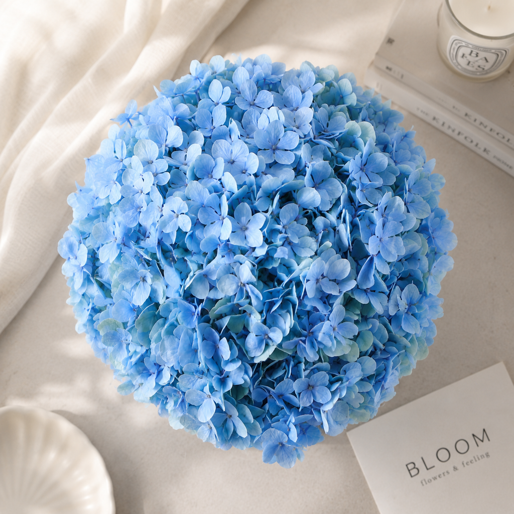 Hydrangea Bloom Box