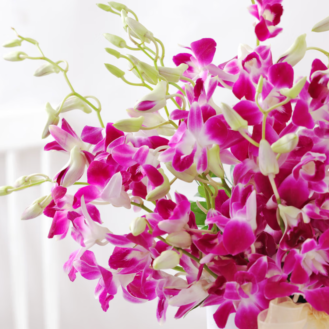 Purple Orchid Cloud