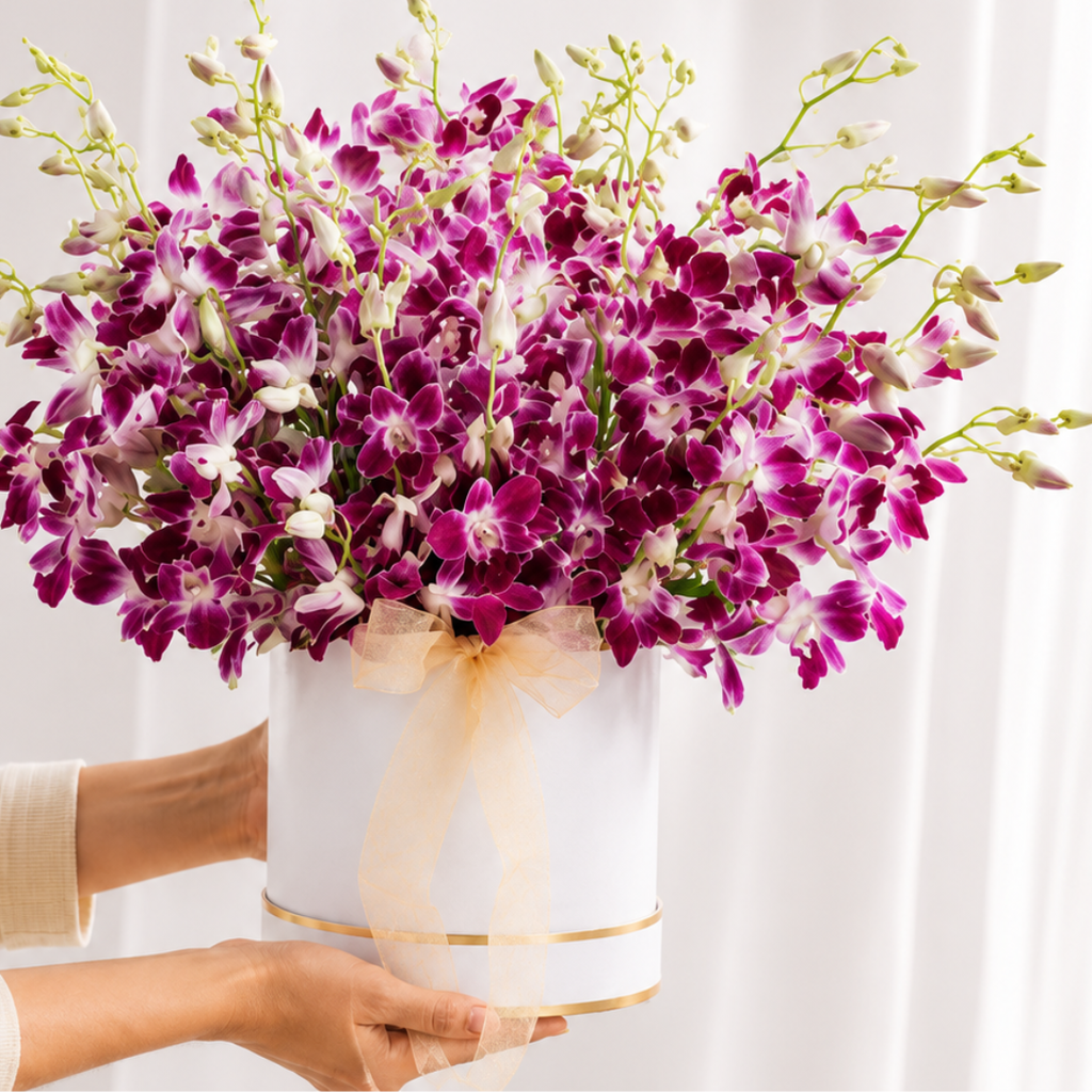 Purple Orchid Cloud