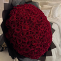The Velvet Noir 200 Rose Dome